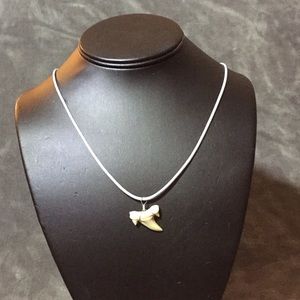 Shark tooth handmade necklace